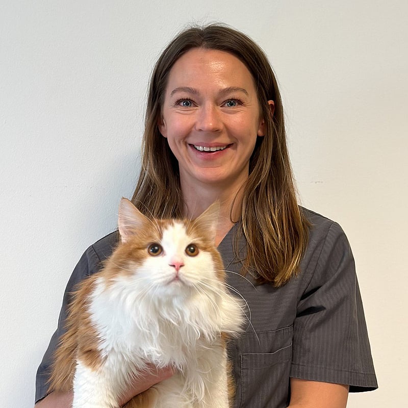 Bilde av Marie Rise Elseth, Veterinærer