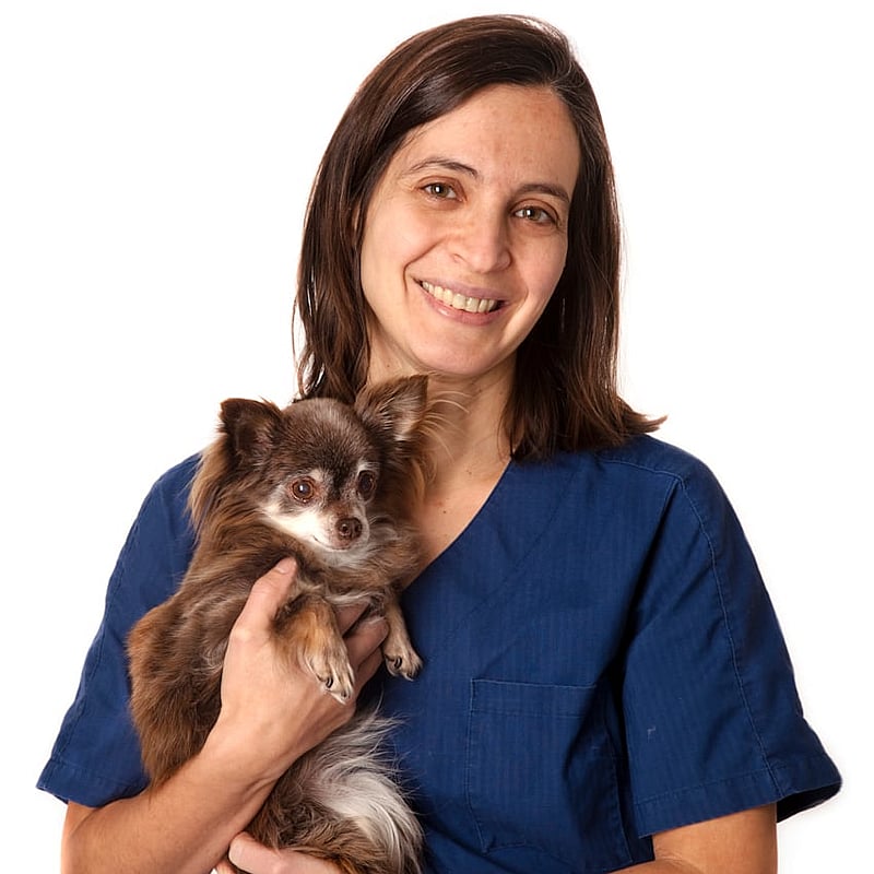 Bilde av Ana Calvão, Veterinær