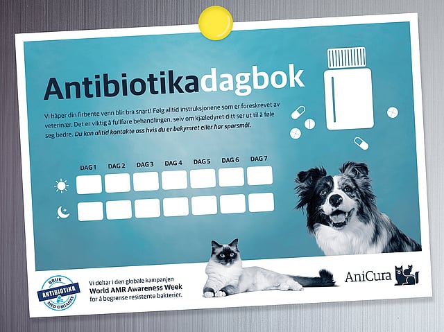 Et blått skilt med et bilde av en hund og en katt.