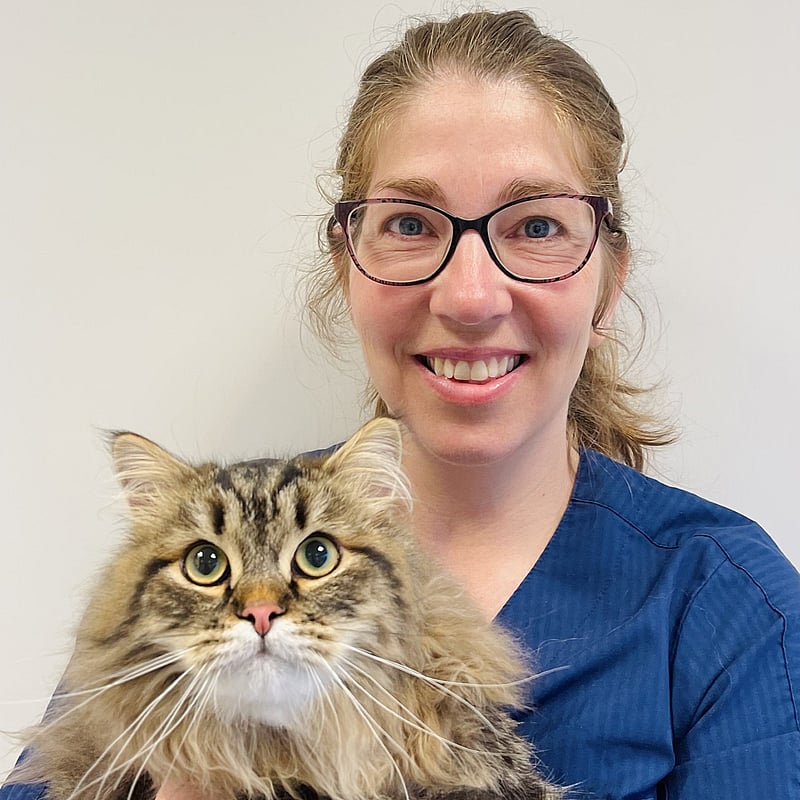 Bilde av Nina Helliksen Schiøtz, Veterinærene