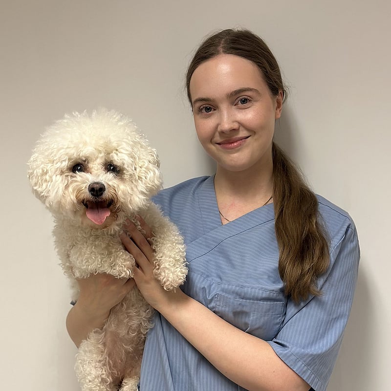 Bilde av Rakel Myrvang Nergård, Autorisert Dyrepleier