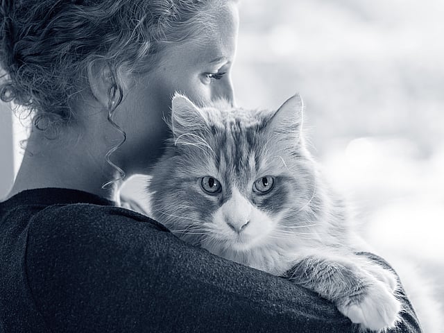 En person som holder en katt.