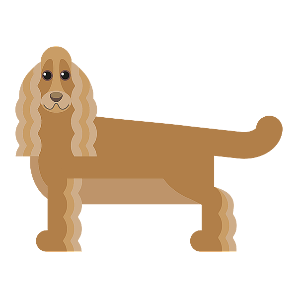 En hund med langt hår.