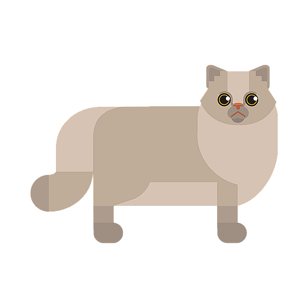 En katt med et trist ansikt.