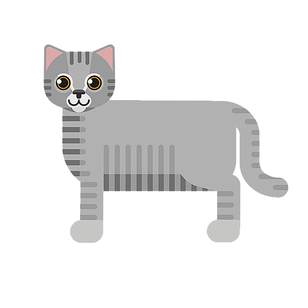 En grå katt med svart bakgrunn.