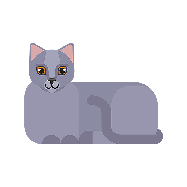 En katt som ligger på svart bakgrunn.