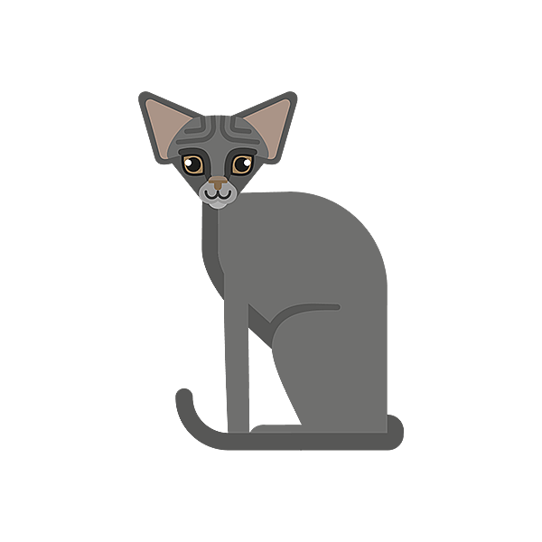 En katt som sitter på svart bakgrunn.