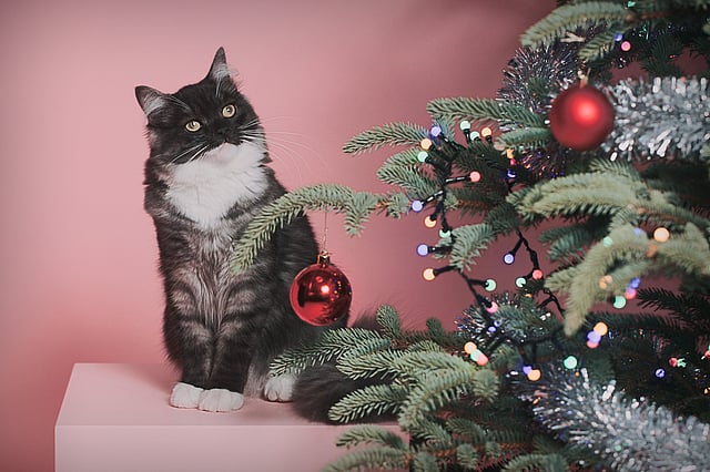 En katt som sitter ved siden av et juletre.