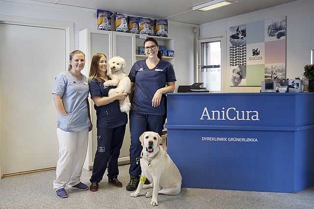 Velkommen til AniCura Grünerløkkka