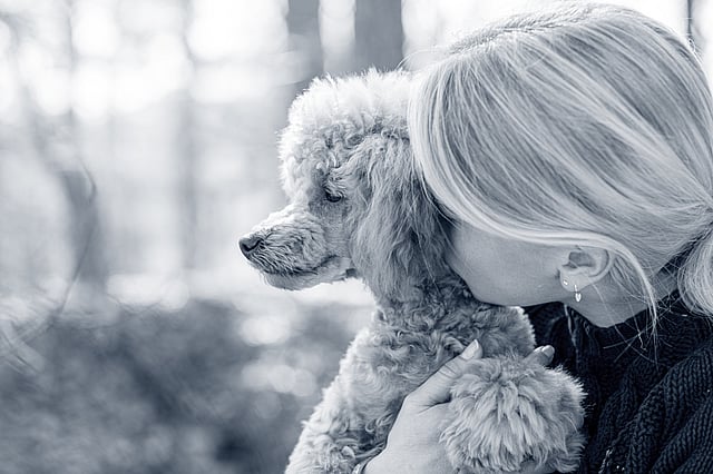 En person som holder en hund.