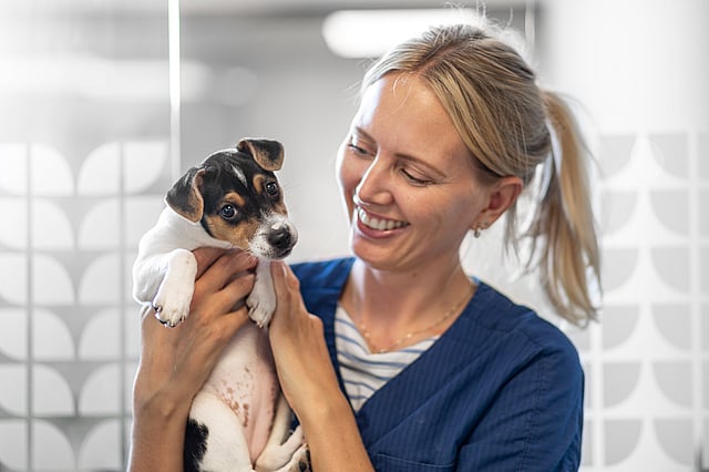 En person som holder en hund.