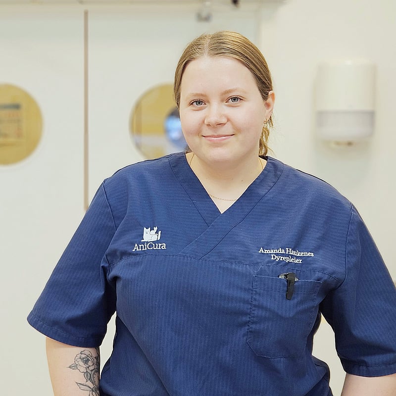 Bilde av Amanda Haukenes, Dyrepleier