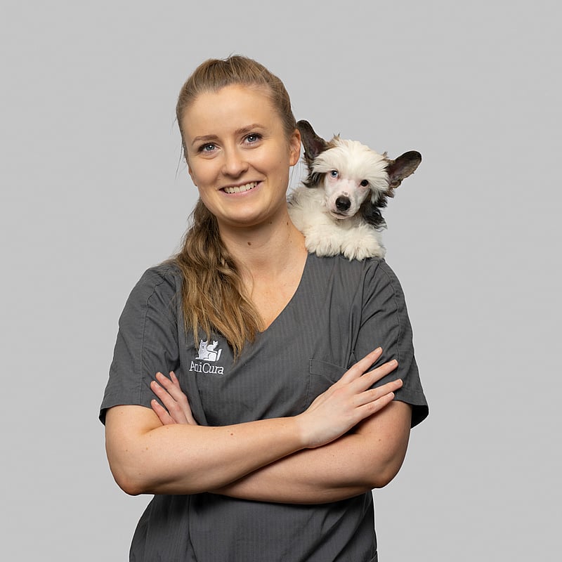 Bilde av Lise Mari Lid Haugen, 
