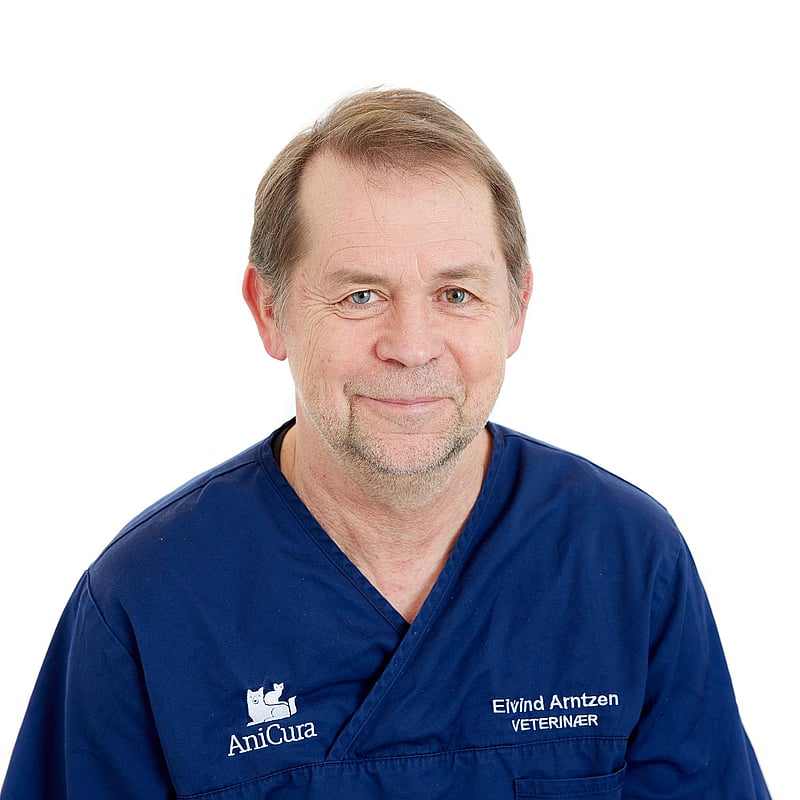 Bilde av Eivind Arntzen, Veterinær