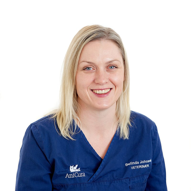Bilde av Belinda Johnsen, Veterinær