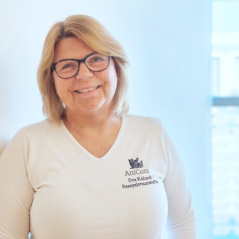 Bilde av Eva Kaland, Resepsjon