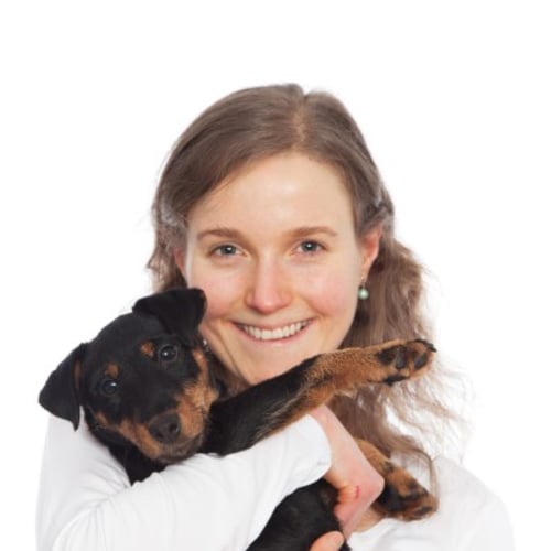 Bilde av Elisabet Aase Johannessen, Veterinær