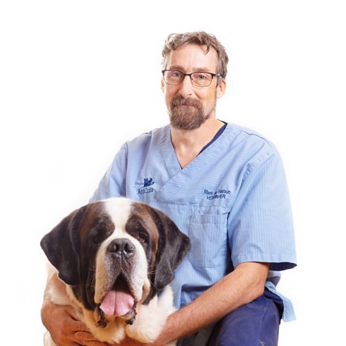 Bilde av Mark Ian Harbun, Veterinær