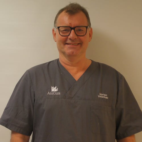 Bilde av Morten Grøtterud, Veterinær