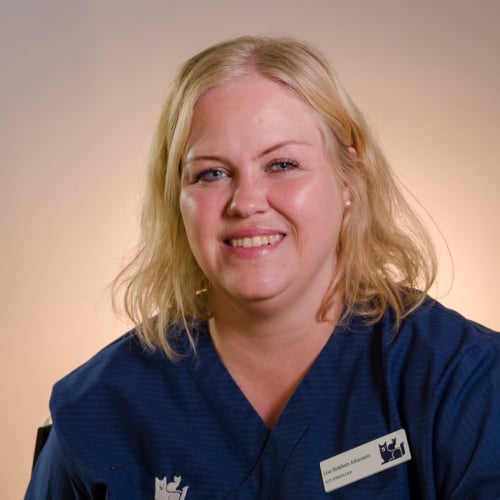 Bilde av Lise Bråthen Johansen, Autorisert dyrepleier