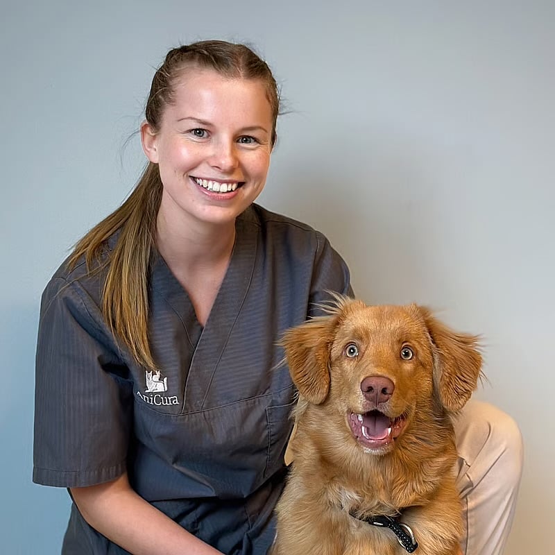 Bilde av Kaja Farsethås Ilbråten, Veterinær