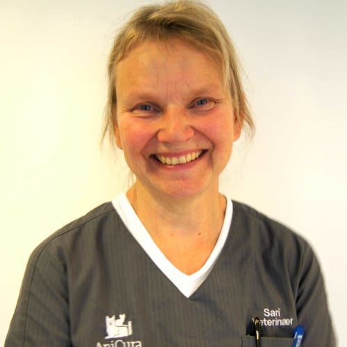Bilde av Sari J. Wedul, Veterinær