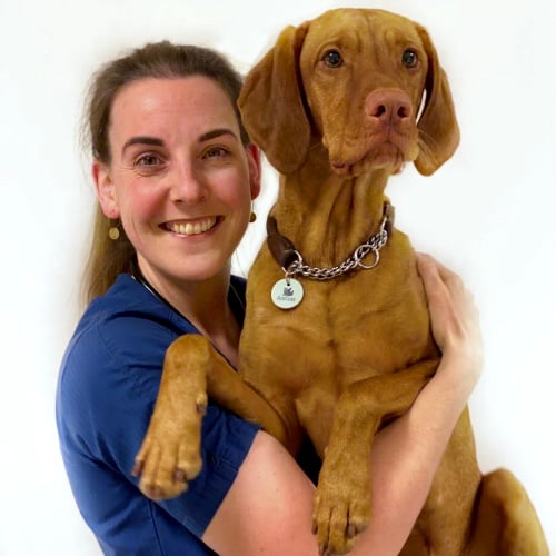 Bilde av Michelle Troye-White, Veterinærene
