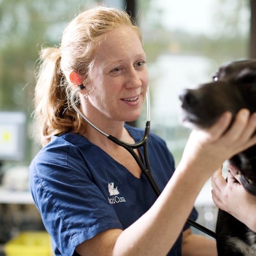 Bilde av Cathrine Orre, Veterinær