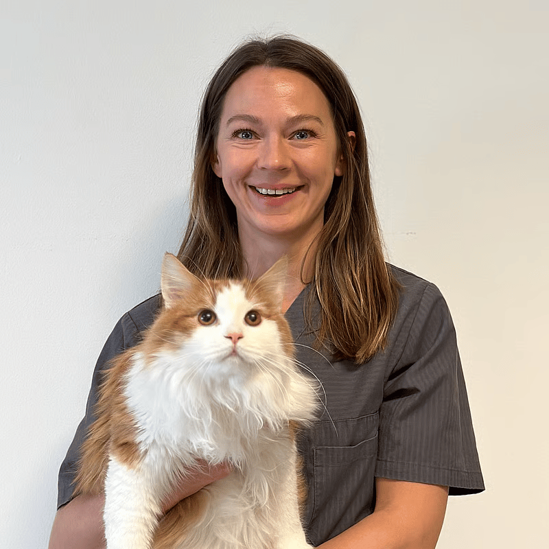 Bilde av Marie Rise Elseth, Veterinær