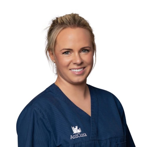 Bilde av Mari C.Lyngholt, Veterinær