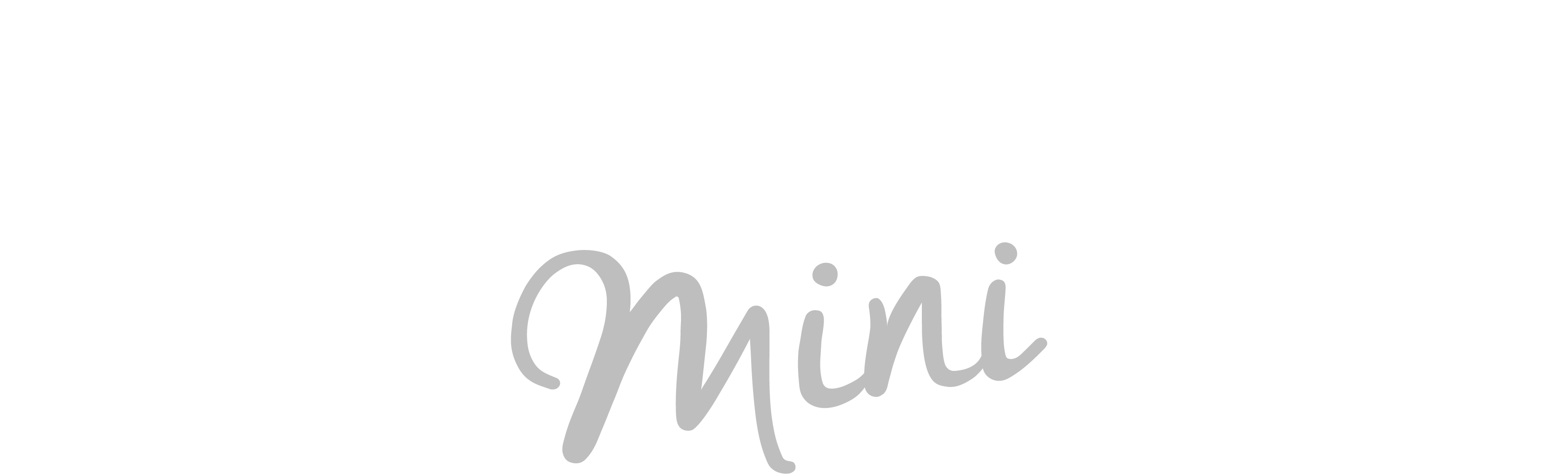 AniCura Bergen Mini logo