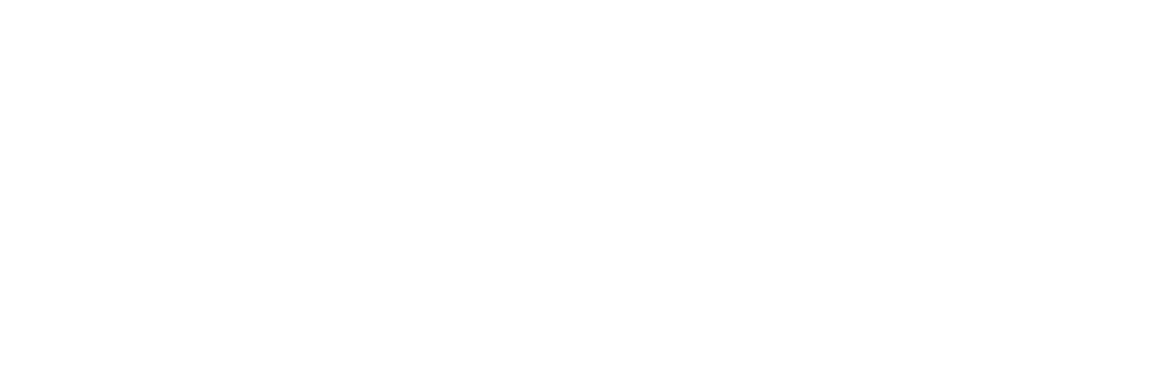 AniCura Hønefoss Dyrehospital logo