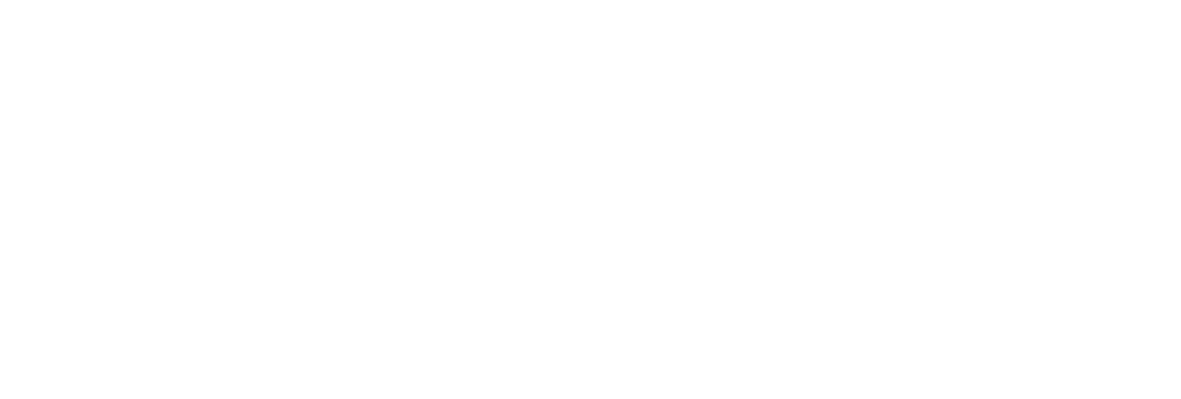 AniCura Hønefoss Dyrehospital logo