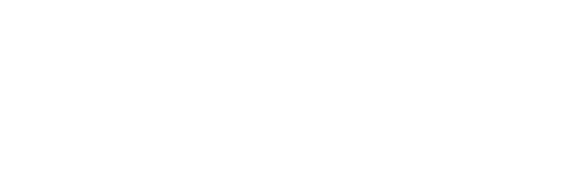 AniCura Dyreklinikken Notodden logo