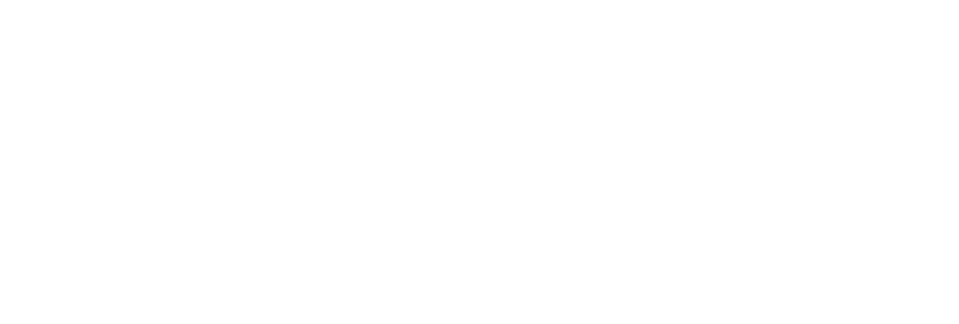 AniCura Kongsvinger Veterinærklinikk logo